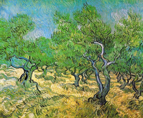 Olive Grove White Modern Wood Framed Art Print with Double Matting by Van Gogh, Vincent