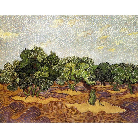 Olive Grove Pale Blue Sky Black Modern Wood Framed Art Print with Double Matting by Van Gogh, Vincent