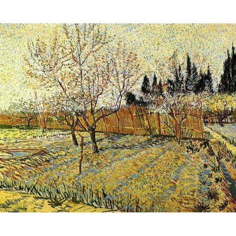 Orchard Springtime White Modern Wood Framed Art Print by Van Gogh, Vincent