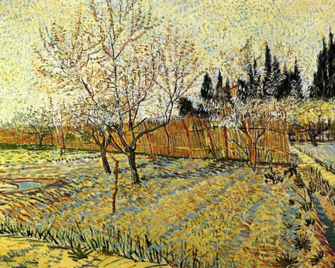 Orchard Springtime White Modern Wood Framed Art Print with Double Matting by Van Gogh, Vincent