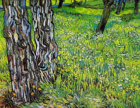 Pine Trees And Dandelions In The Garden Of Saint Paul Hospital 1890 White Modern Wood Framed Art Print with Double Matting by Van Gogh, Vincent