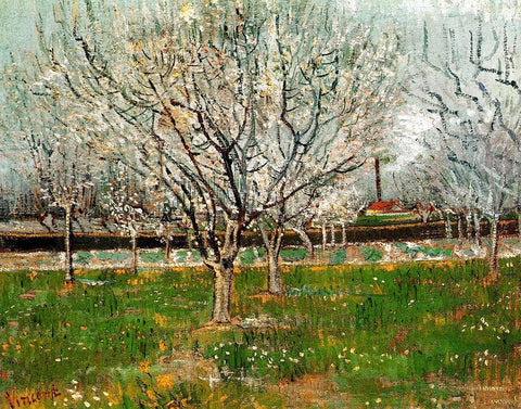 Plum Trees In Blossom White Modern Wood Framed Art Print with Double Matting by Van Gogh, Vincent