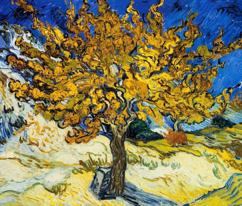 The Mulberry Tree 1889 Black Ornate Wood Framed Art Print with Double Matting by Van Gogh, Vincent