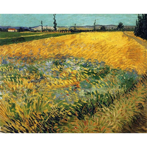 Wheatfield 1888 Black Modern Wood Framed Art Print with Double Matting by Van Gogh, Vincent