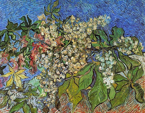 Blossoming Chestnut Branches White Modern Wood Framed Art Print with Double Matting by Van Gogh, Vincent