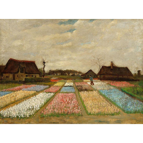 Bulb Fields White Modern Wood Framed Art Print by Van Gogh, Vincent