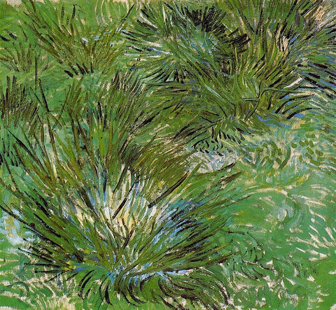 Clumps Of Grass 1889 White Modern Wood Framed Art Print with Double Matting by Van Gogh, Vincent