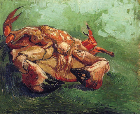 Crab On His Back White Modern Wood Framed Art Print with Double Matting by Van Gogh, Vincent