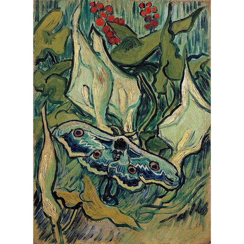 Emperor Moth White Modern Wood Framed Art Print by Van Gogh, Vincent