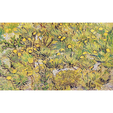 Field Of Yellow Flowers Black Modern Wood Framed Art Print with Double Matting by Van Gogh, Vincent