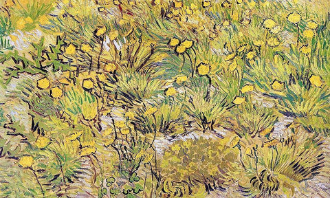 Field Of Yellow Flowers Black Ornate Wood Framed Art Print with Double Matting by Van Gogh, Vincent