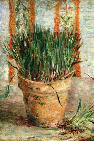 Flowerpot With Chives White Modern Wood Framed Art Print with Double Matting by Van Gogh, Vincent