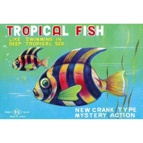 Tropical Fish Black Modern Wood Framed Art Print with Double Matting by Retrobot