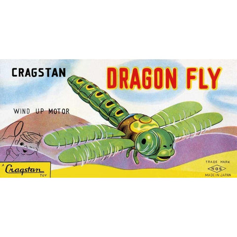 Cragstan Dragon Fly Black Modern Wood Framed Art Print with Double Matting by Retrobot