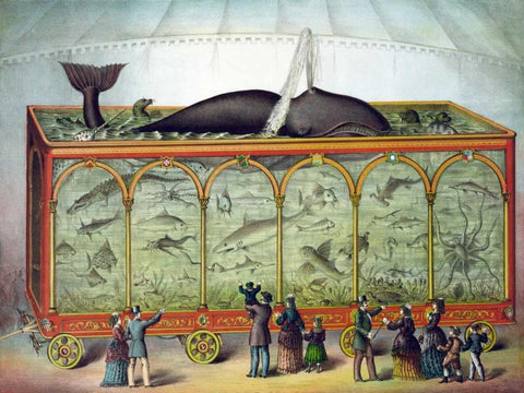 Aquarium Black Ornate Wood Framed Art Print with Double Matting by Gibson and Co.