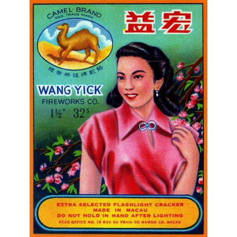 Wang Yick Fireworks Gold Ornate Wood Framed Art Print with Double Matting by Unknown