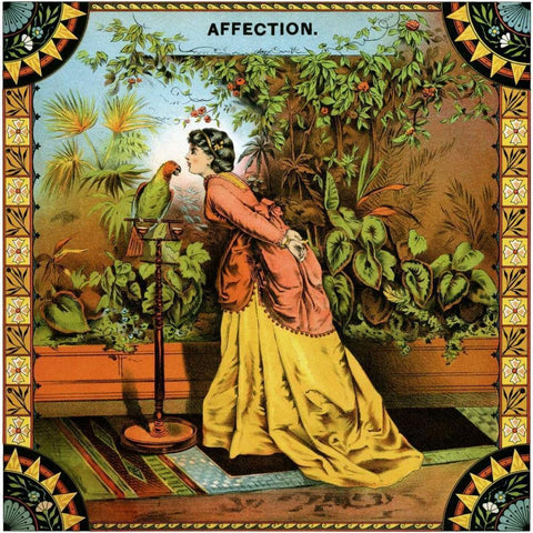 Affection Black Modern Wood Framed Art Print with Double Matting by Unknown