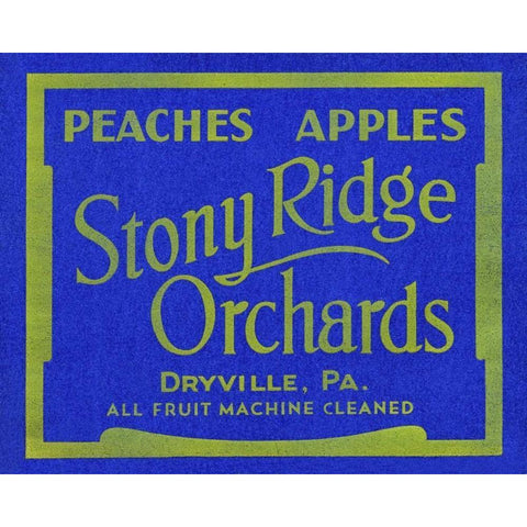 Stony Ridge Orchards Peaches and Apples Gold Ornate Wood Framed Art Print with Double Matting by Unknown