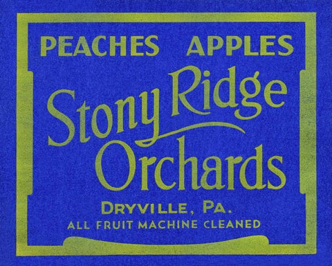 Stony Ridge Orchards Peaches and Apples Black Ornate Wood Framed Art Print with Double Matting by Unknown