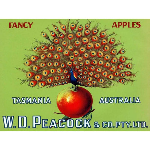 W.D. Peacock Fancy Apples Black Modern Wood Framed Art Print with Double Matting by Retrolabel