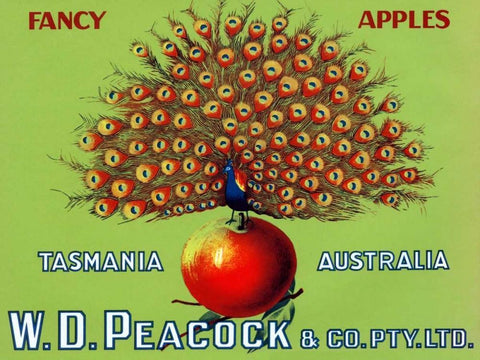 W.D. Peacock Fancy Apples White Modern Wood Framed Art Print with Double Matting by Retrolabel