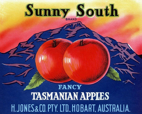 Sunny South Tasmanian Apples Black Ornate Wood Framed Art Print with Double Matting by Retrolabel