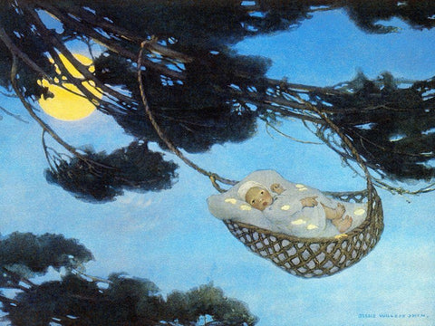 Boy in Hassoc Tree White Modern Wood Framed Art Print with Double Matting by Smith, Jesse Willcox