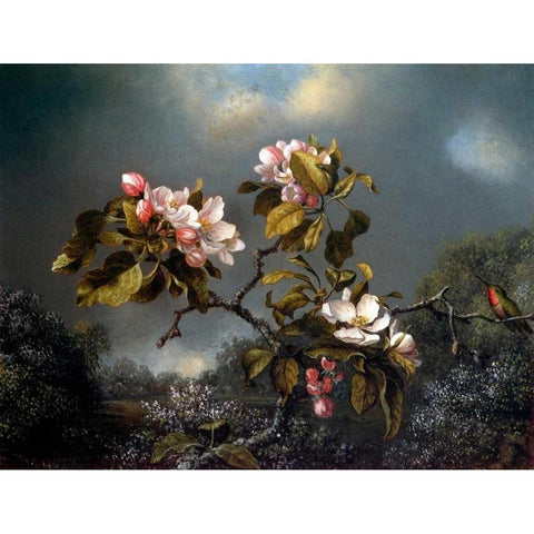 Apple Blossom And Hummingbird Gold Ornate Wood Framed Art Print with Double Matting by Heade, Martin Johnson
