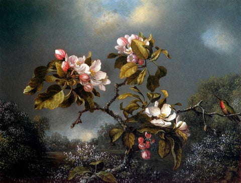 Apple Blossom And Hummingbird Black Ornate Wood Framed Art Print with Double Matting by Heade, Martin Johnson