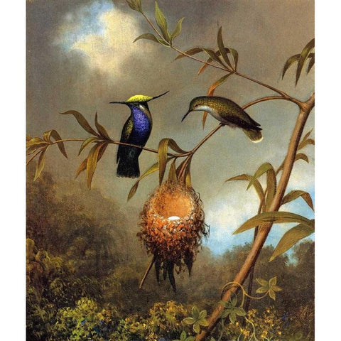 Black Breasted Plovercrest Black Modern Wood Framed Art Print by Heade, Martin Johnson