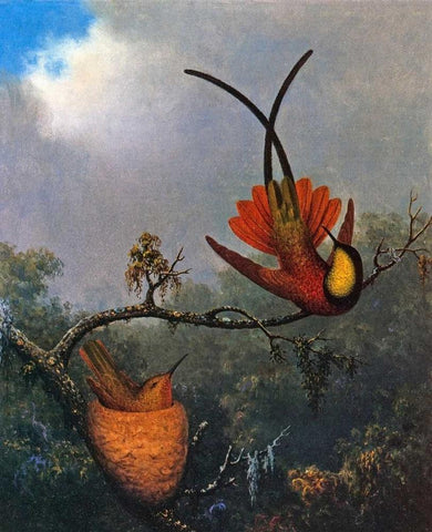 Crimson Topaz Black Ornate Wood Framed Art Print with Double Matting by Heade, Martin Johnson