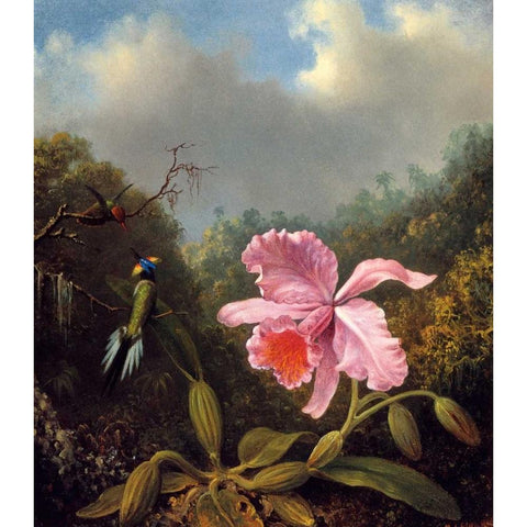 Fighting Hummingbirds With Pink Orchid Gold Ornate Wood Framed Art Print with Double Matting by Heade, Martin Johnson