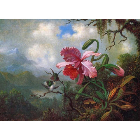 Orchid And Hummingbirds Near A Mountain Lake White Modern Wood Framed Art Print by Heade, Martin Johnson