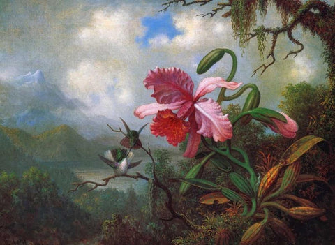 Orchid And Hummingbirds Near A Mountain Lake White Modern Wood Framed Art Print with Double Matting by Heade, Martin Johnson