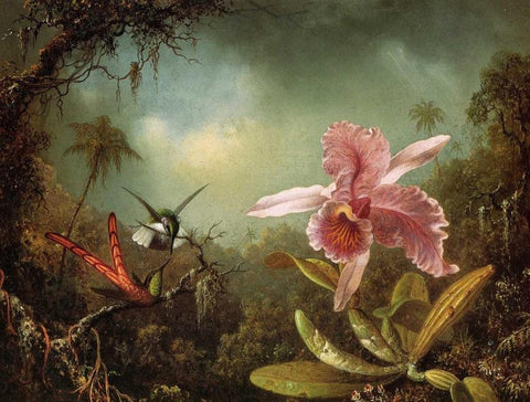Orchid With Two Hummingbirds Black Ornate Wood Framed Art Print with Double Matting by Heade, Martin Johnson