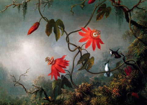 Passion Flowers And Hummingbirds Black Ornate Wood Framed Art Print with Double Matting by Heade, Martin Johnson