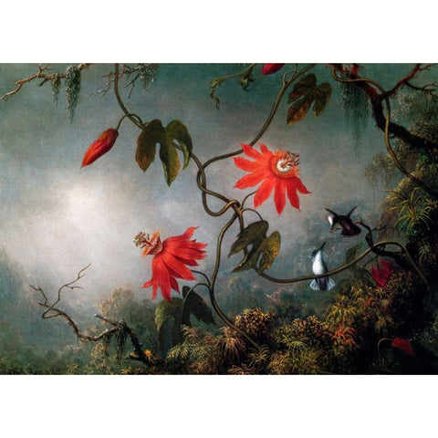 Passion Flowers And Hummingbirds White Modern Wood Framed Art Print by Heade, Martin Johnson