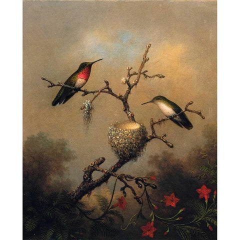 Ruby Throated Hummingbird Black Modern Wood Framed Art Print by Heade, Martin Johnson