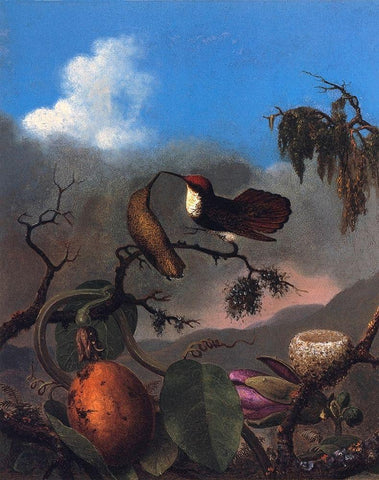 Ruby Topaz White Modern Wood Framed Art Print with Double Matting by Heade, Martin Johnson