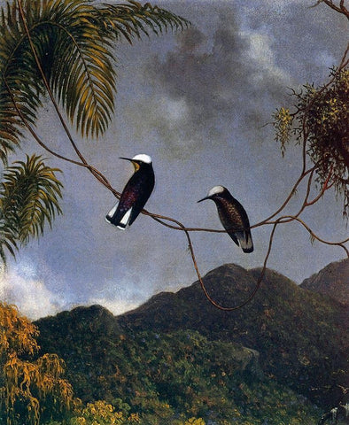 Snowcap Black Ornate Wood Framed Art Print with Double Matting by Heade, Martin Johnson