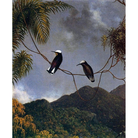 Snowcap Black Modern Wood Framed Art Print by Heade, Martin Johnson