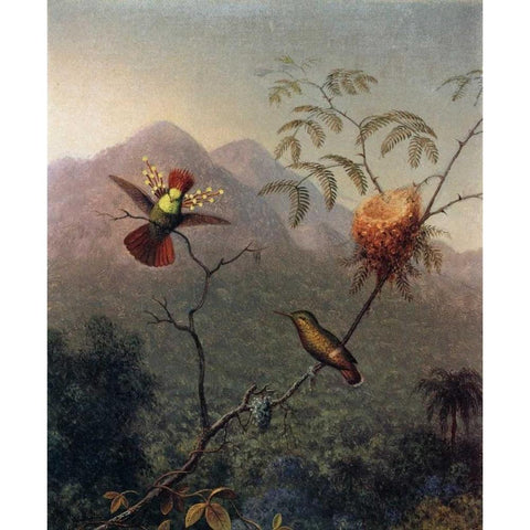 Tufted Coquette Black Modern Wood Framed Art Print by Heade, Martin Johnson