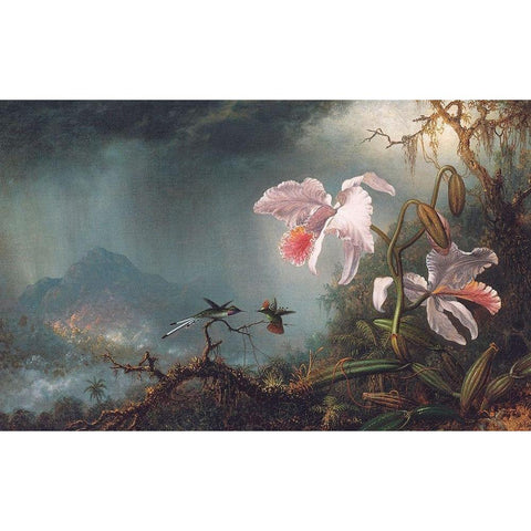 Two Fighting Hummingbirds With Two Orchids Black Modern Wood Framed Art Print by Heade, Martin Johnson