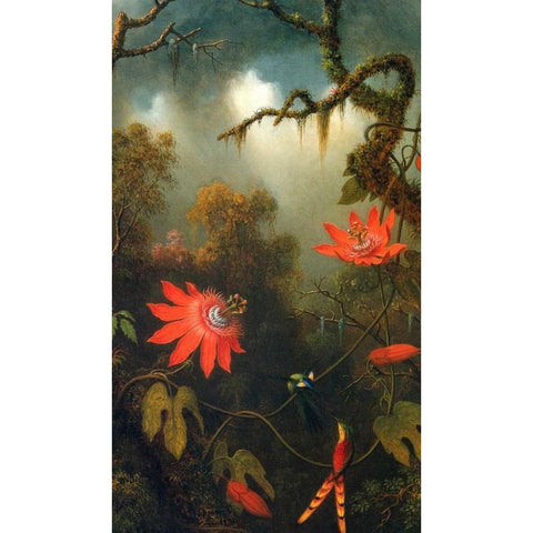 Two Hummingbirds Perched On Passion Flower Vines White Modern Wood Framed Art Print by Heade, Martin Johnson