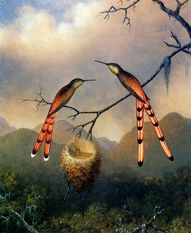 Two Hummingbirds With Their Young White Modern Wood Framed Art Print with Double Matting by Heade, Martin Johnson
