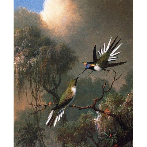 Two Sun Gems On A Branch White Modern Wood Framed Art Print by Heade, Martin Johnson