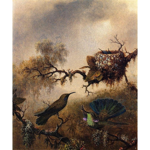 White Vented Violet Ear Gold Ornate Wood Framed Art Print with Double Matting by Heade, Martin Johnson