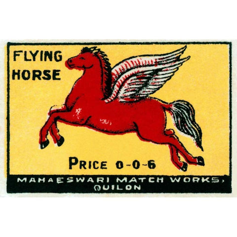 Flying Horse Matches Black Modern Wood Framed Art Print with Double Matting by Phillumenart