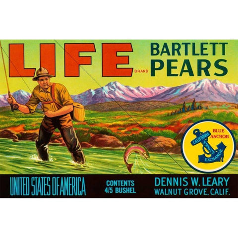 Life Brand Bartlett Pears Black Modern Wood Framed Art Print with Double Matting by Retrolabel