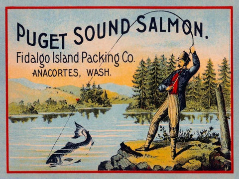 Puget Sound Salmon - On the Fly White Modern Wood Framed Art Print with Double Matting by Retrolabel